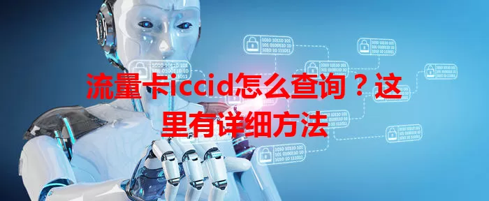 流量卡iccid怎么查询？这里有详细方法