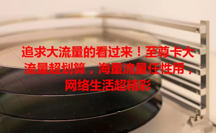 追求大流量的看过来！至尊卡大流量超划算，海量流量任性用，网络生活超精彩