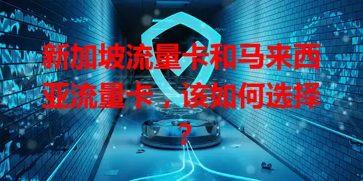 新加坡流量卡和马来西亚流量卡，该如何选择？