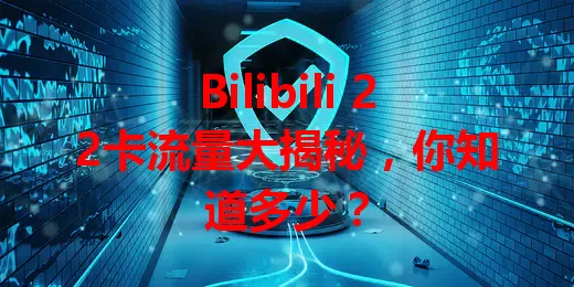 Bilibili 22卡流量大揭秘，你知道多少？