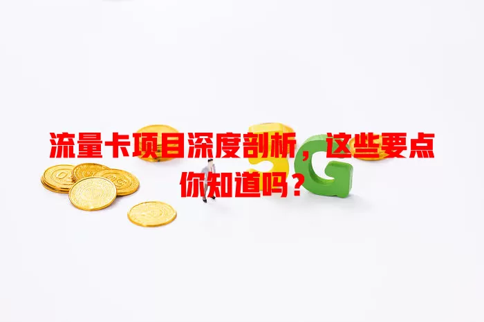 流量卡项目深度剖析，这些要点你知道吗？