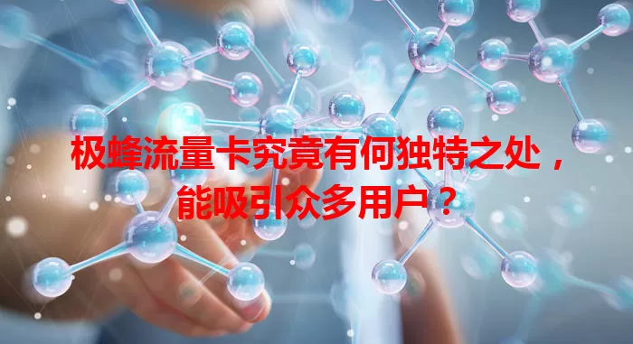 极蜂流量卡究竟有何独特之处，能吸引众多用户？