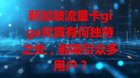 新加坡流量卡giga究竟有何独特之处，能吸引众多用户？