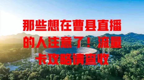 那些想在曹县直播的人注意了！流量卡攻略请查收