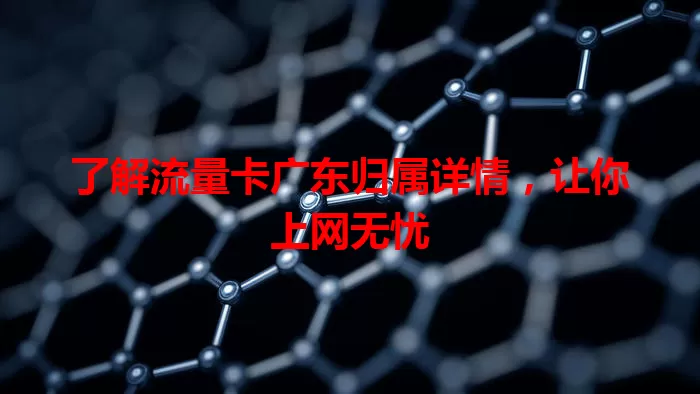 了解流量卡广东归属详情，让你上网无忧
