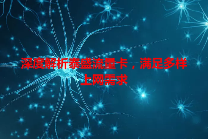 深度解析泰盛流量卡，满足多样上网需求