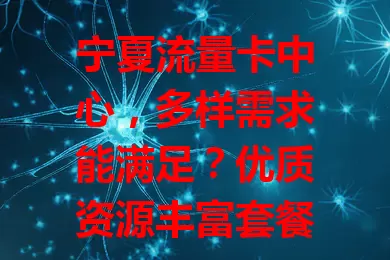 宁夏流量卡中心，多样需求能满足？优质资源丰富套餐，贴心服务广覆盖，助你畅享网络精彩