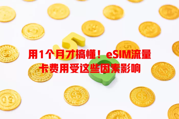 用1个月才搞懂！eSIM流量卡费用受这些因素影响