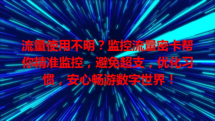流量使用不明？监控流量密卡帮你精准监控，避免超支，优化习惯，安心畅游数字世界！