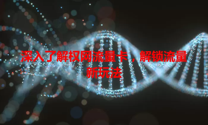 深入了解权网流量卡，解锁流量新玩法