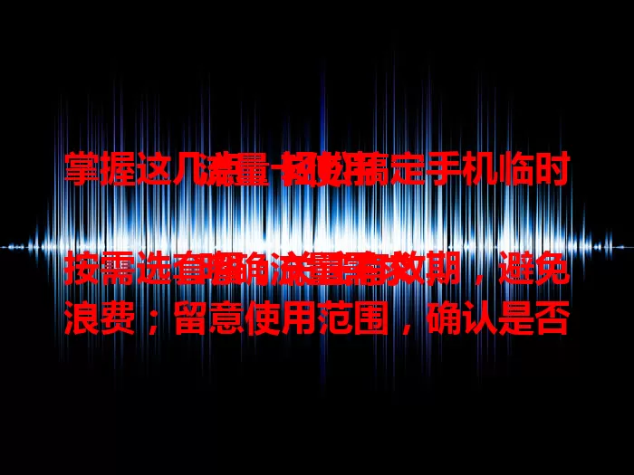 掌握这几点，轻松搞定手机临时流量卡使用

明确流量需求，按需选套餐；关注有效期，避免浪费；留意使用范围，确认是否可用；了解充值续费规则，及时充值。掌握要点，畅享移动互联网便捷生活