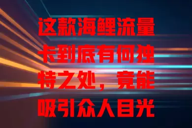这款海鲤流量卡到底有何独特之处，竟能吸引众人目光？