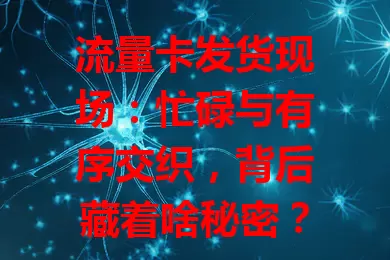 流量卡发货现场：忙碌与有序交织，背后藏着啥秘密？