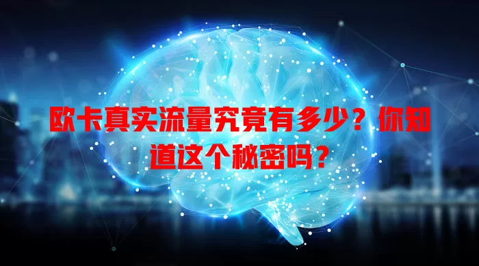 欧卡真实流量究竟有多少？你知道这个秘密吗？