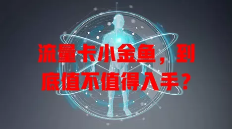 流量卡小金鱼，到底值不值得入手？