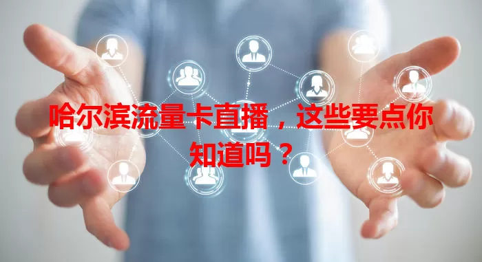 哈尔滨流量卡直播，这些要点你知道吗？