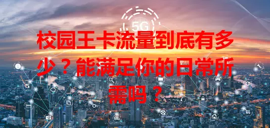 校园王卡流量到底有多少？能满足你的日常所需吗？