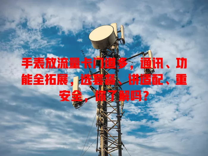 手表放流量卡门道多，通讯、功能全拓展，选套餐、讲适配、重安全，你了解吗？