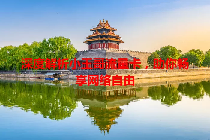 深度解析小王哥流量卡，助你畅享网络自由