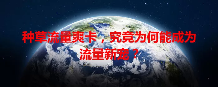 种草流量爽卡，究竟为何能成为流量新宠？