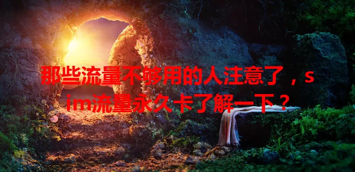 那些流量不够用的人注意了，sim流量永久卡了解一下？