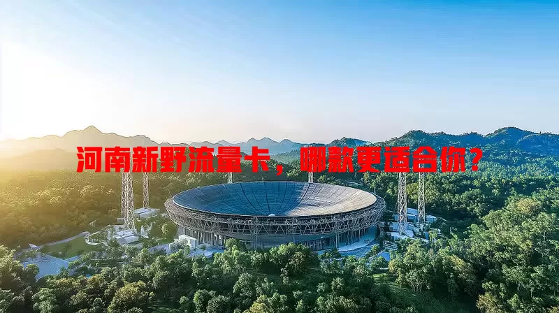 河南新野流量卡，哪款更适合你？