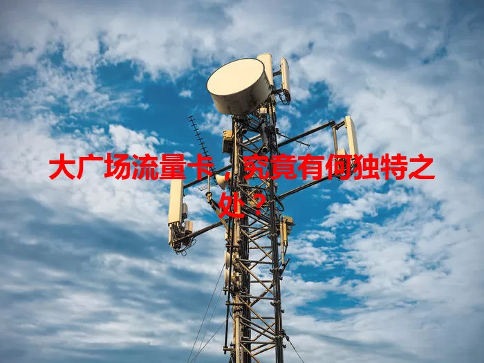 大广场流量卡，究竟有何独特之处？