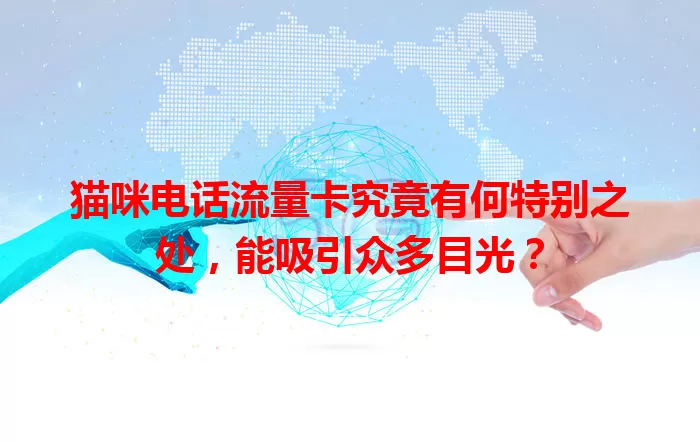 猫咪电话流量卡究竟有何特别之处，能吸引众多目光？