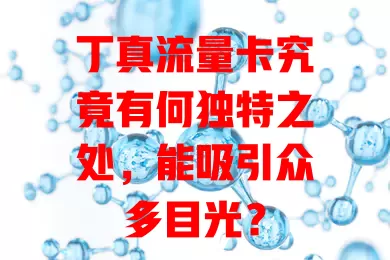丁真流量卡究竟有何独特之处，能吸引众多目光？
