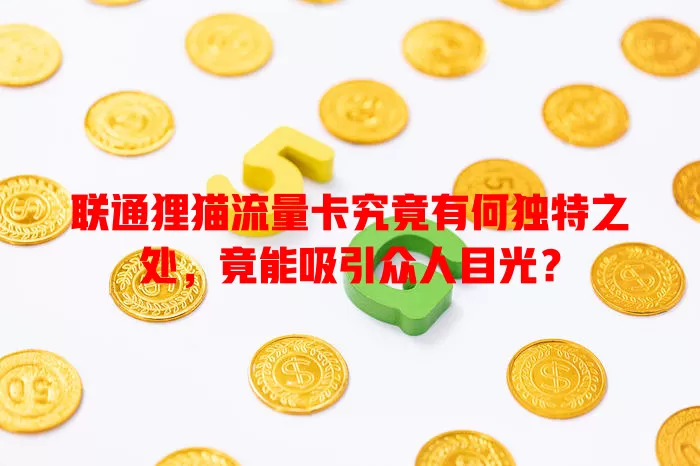 联通狸猫流量卡究竟有何独特之处，竟能吸引众人目光？