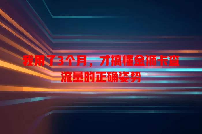 我用了3个月，才搞懂金狮卡查流量的正确姿势