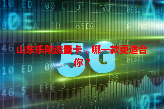 山东乐陵流量卡，哪一款更适合你？