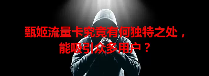 甄姬流量卡究竟有何独特之处，能吸引众多用户？