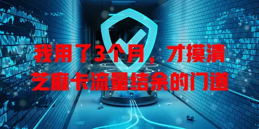 我用了3个月，才摸清芝麻卡流量结余的门道