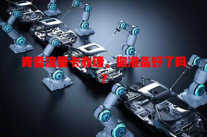 青春流量卡办理，你准备好了吗？