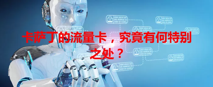 卡萨丁的流量卡，究竟有何特别之处？