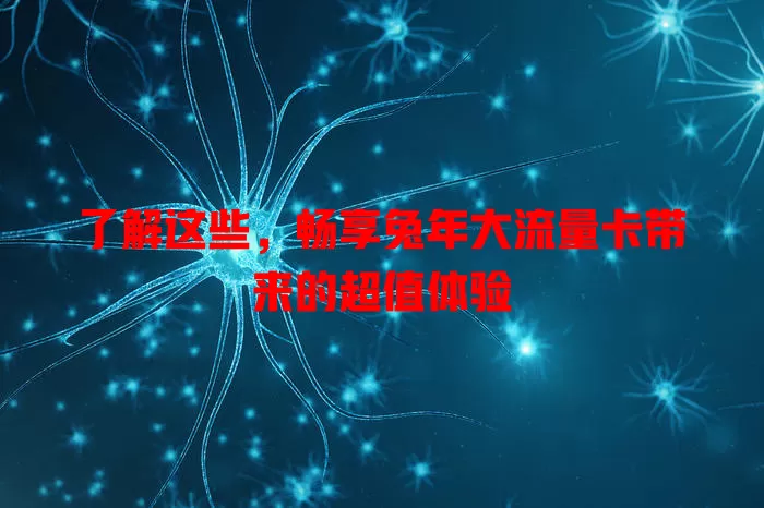了解这些，畅享兔年大流量卡带来的超值体验