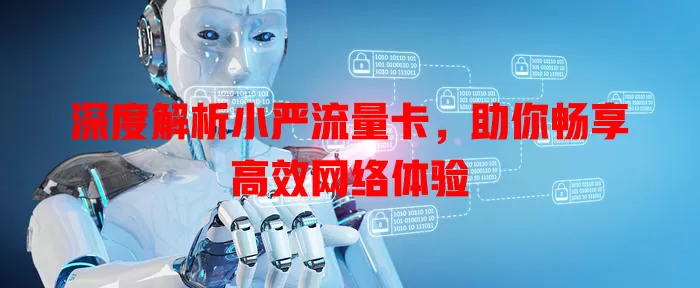 深度解析小严流量卡，助你畅享高效网络体验