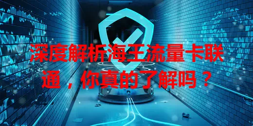 深度解析海王流量卡联通，你真的了解吗？
