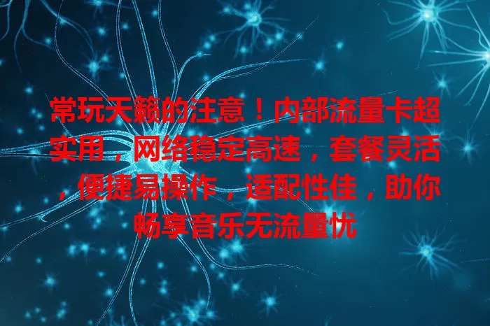 常玩天籁的注意！内部流量卡超实用，网络稳定高速，套餐灵活，便捷易操作，适配性佳，助你畅享音乐无流量忧