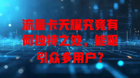 流量卡天耀究竟有何独特之处，能吸引众多用户？