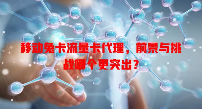 移动兔卡流量卡代理，前景与挑战哪个更突出？