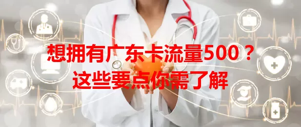 想拥有广东卡流量500？这些要点你需了解