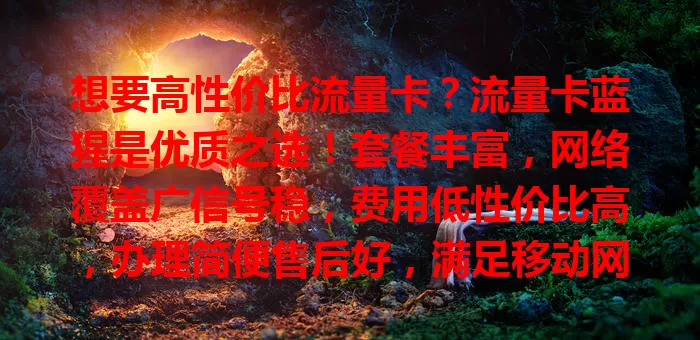 想要高性价比流量卡？流量卡蓝猩是优质之选！套餐丰富，网络覆盖广信号稳，费用低性价比高，办理简便售后好，满足移动网络需求