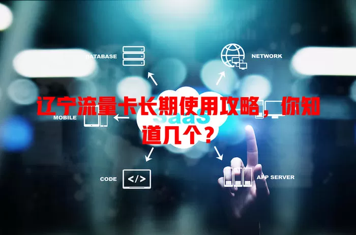 辽宁流量卡长期使用攻略，你知道几个？