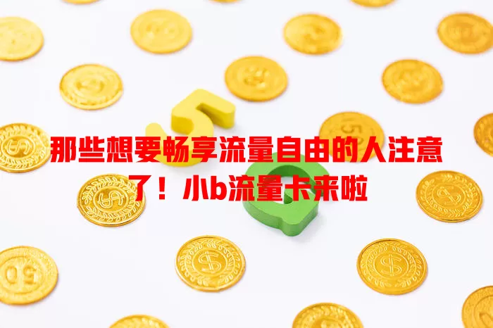 那些想要畅享流量自由的人注意了！小b流量卡来啦