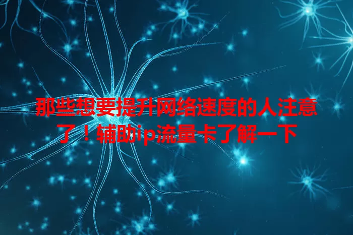 那些想要提升网络速度的人注意了！辅助ip流量卡了解一下