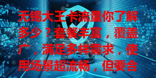 无锡大王卡流量你了解多少？套餐丰富，覆盖广，满足多样需求，使用场景超流畅，但要合理规划流量，选对套餐畅享便捷移动生活