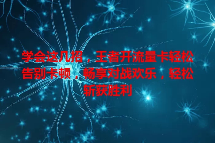 学会这几招，王者开流量卡轻松告别卡顿，畅享对战欢乐，轻松斩获胜利