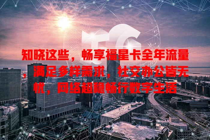 知晓这些，畅享福星卡全年流量，满足多样需求，社交办公皆无忧，网络超稳畅行数字生活